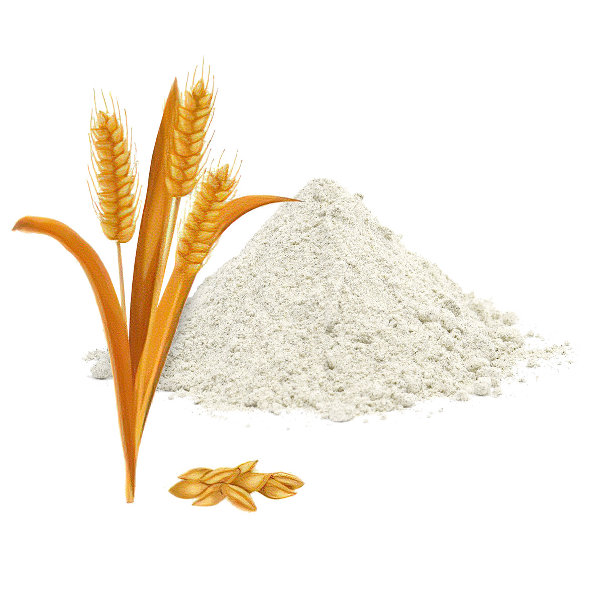 organic barley flour