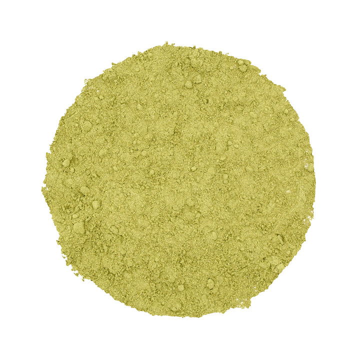 organically grown Sharbati variety wheatberries