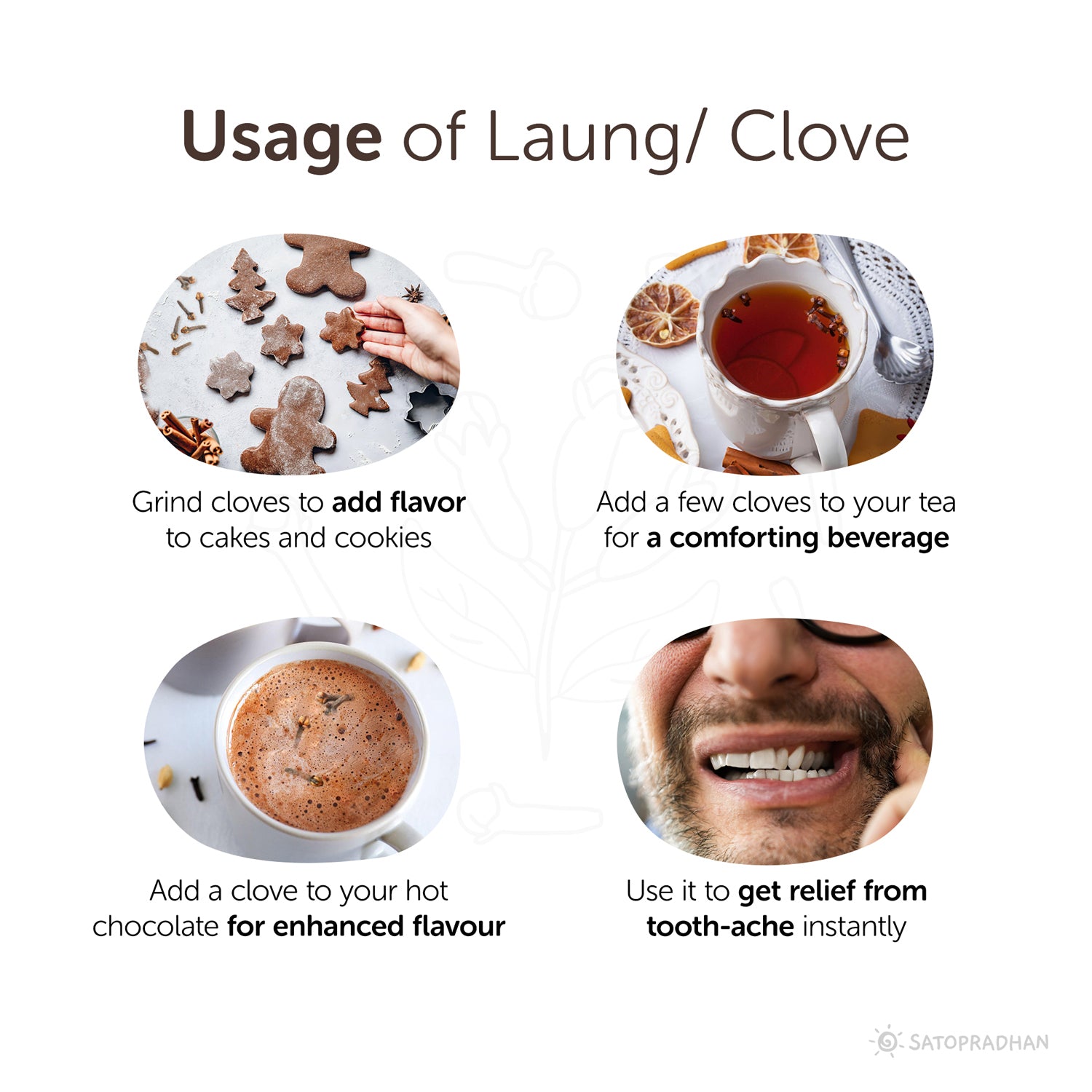 Clove Bud - Laung 50g - Organic & Premium Quality Seeds without Additives