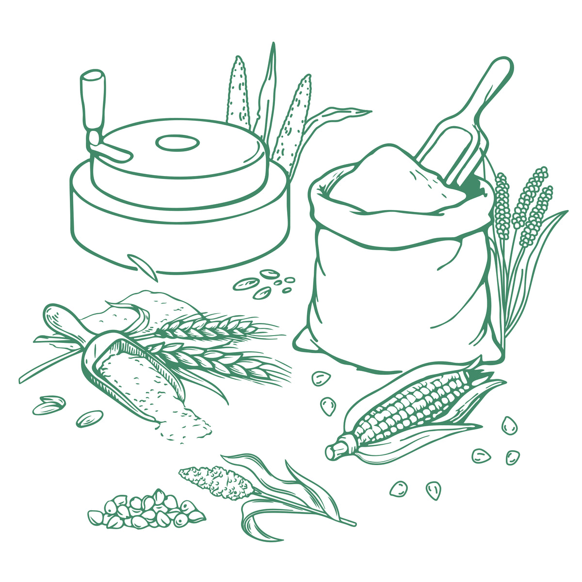 Illustration of a stone grinder, corn, flours amd other grains on a white background