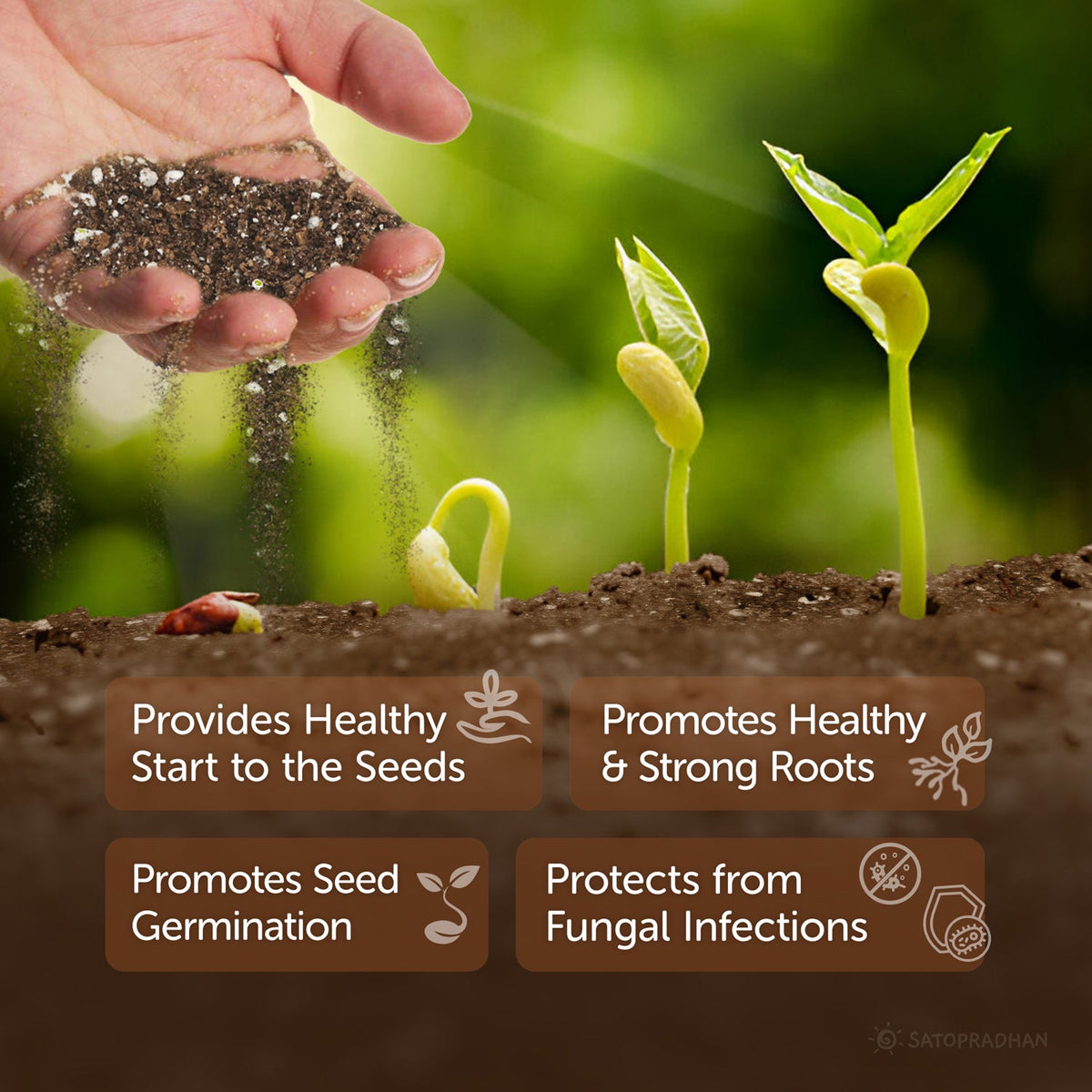 Cocopeat - 2.5 kg | Expanded, Fully Dried & Cleaned - Satopradhan