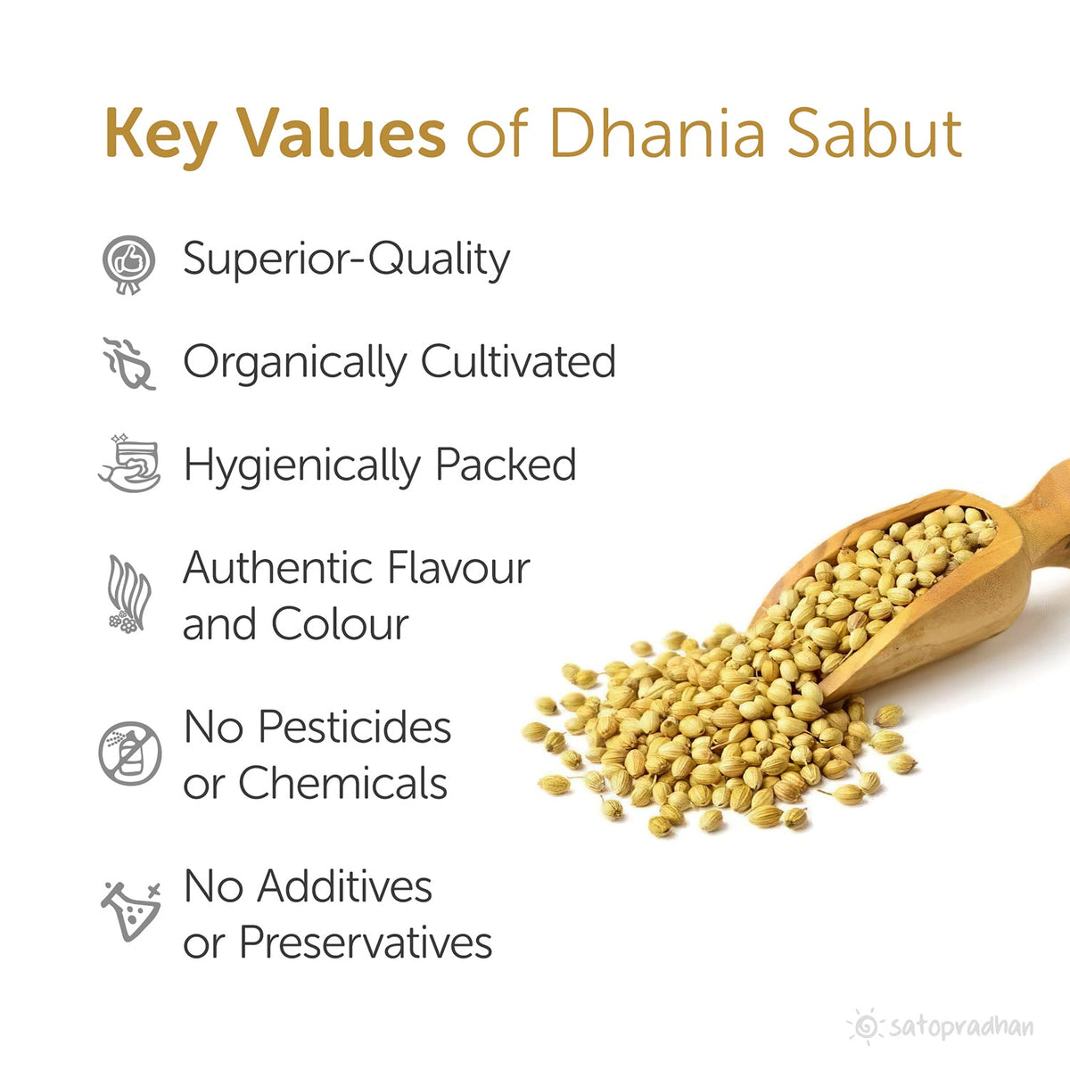 Dhania Sabut - Coriander Seeds 100g - Natural & Purely Organic Without Adulteration - Satopradhan