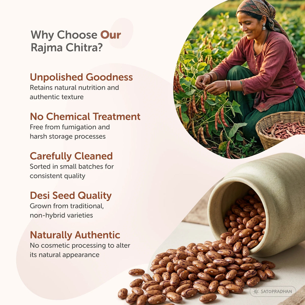 Organic Desi Rajma Chitra 800g – Unpolished Kidney Beans – Waghya Rajma - Satopradhan