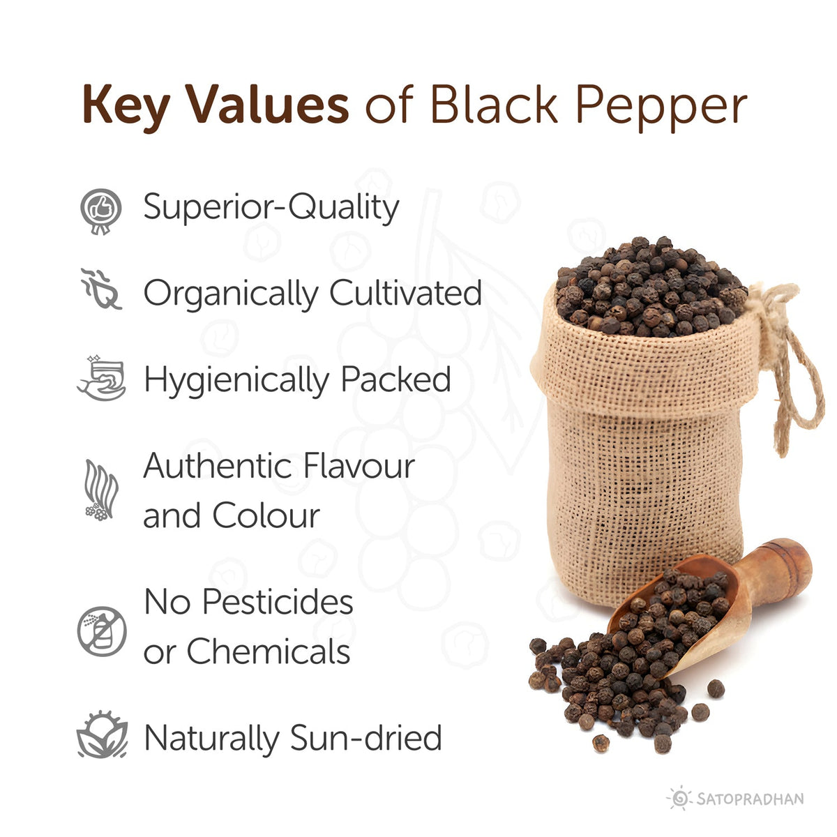 Organic Whole Black Pepper 100g – Kali Mirch Peppercorns – Pure & Chemical-Free - Satopradhan
