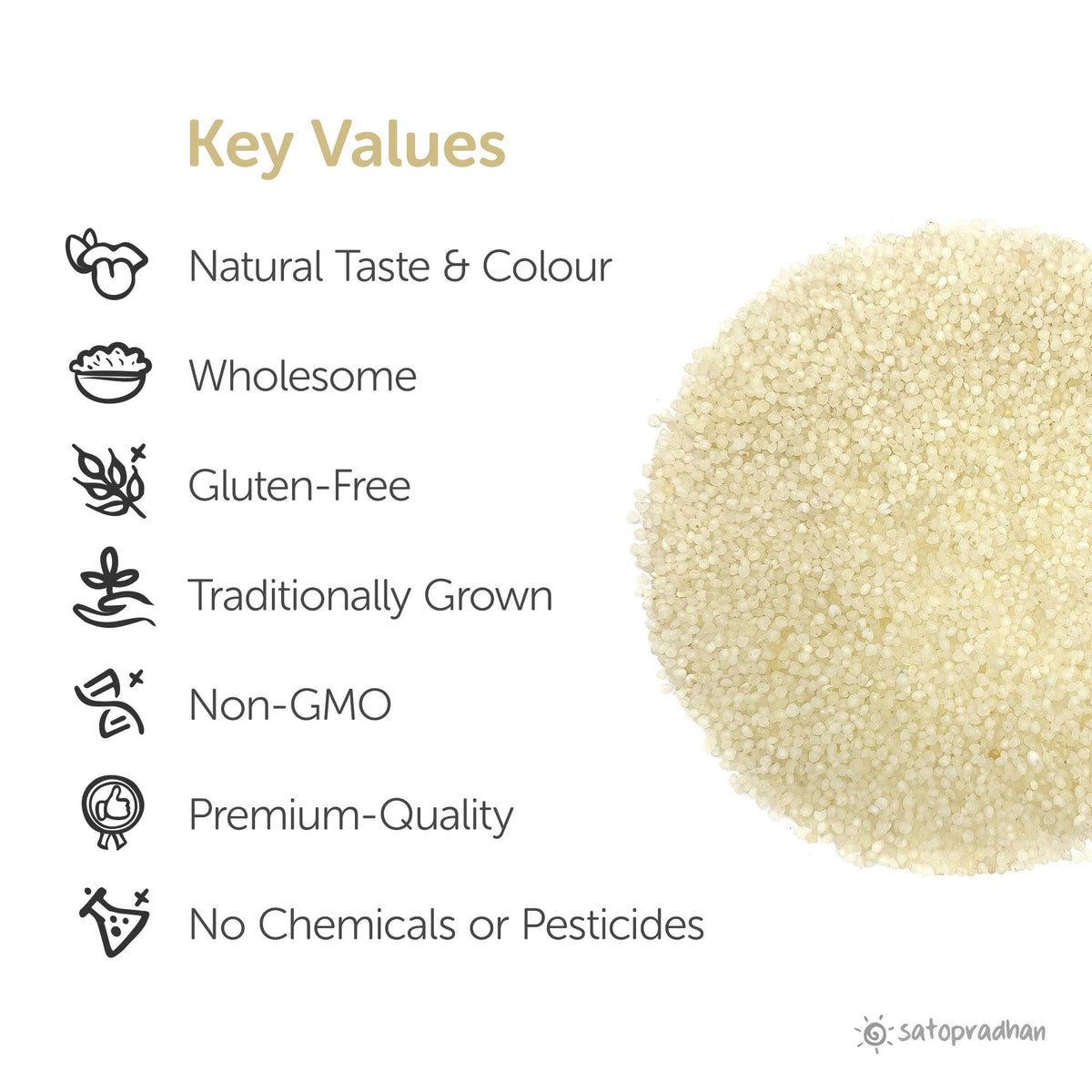 Barnyard Millet - Sanwa 800g - Natural, Organic & Unpolished - Gluten free and Wholesome Grain | Samak Rice | Fasting Food - Satopradhan