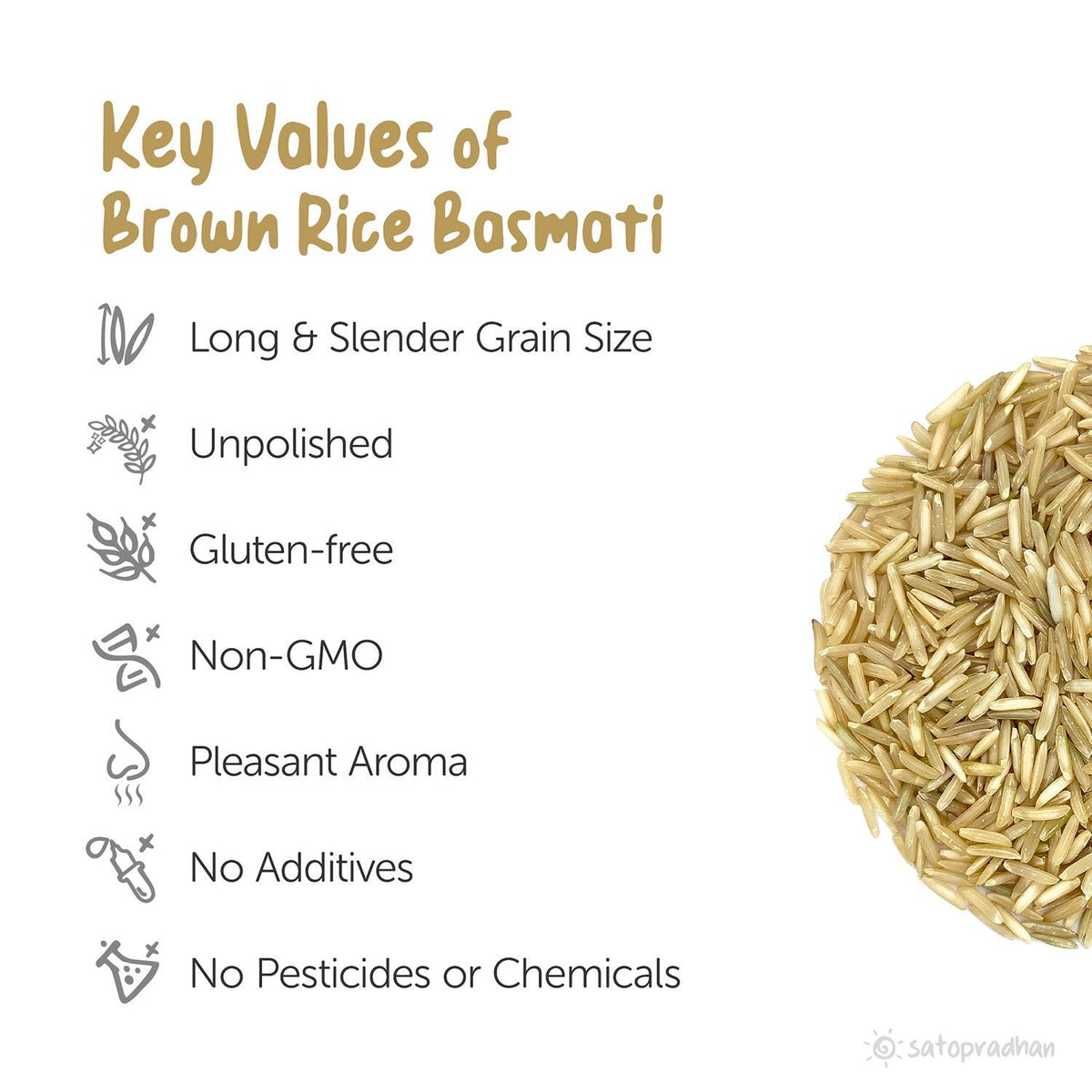 Brown Rice Basmati 800g/ 4.8kg - Organic, Purely Natural & Unpolished | Long Grain Rice perfect for preparing Biryani & Vegetable Pulao - Satopradhan