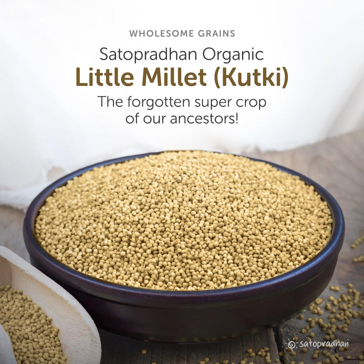 Little Millet - Kutki/ Samai 800g - Natural, Organic & Unpolished - Gluten free and Wholesome Grain | Sama Rice | Fasting Food - Satopradhan