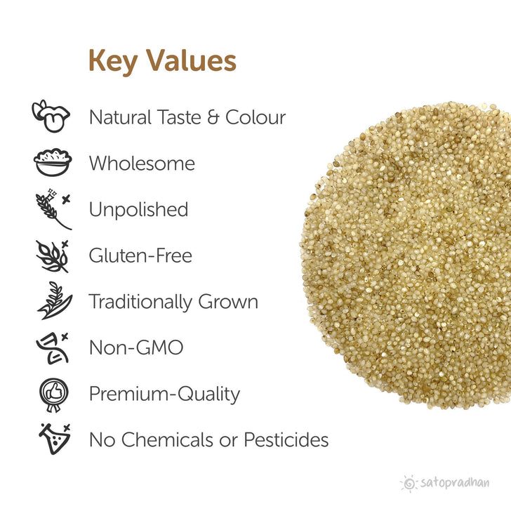Little Millet - Kutki/ Samai 800g - Natural, Organic & Unpolished - Gluten free and Wholesome Grain | Sama Rice | Fasting Food - Satopradhan