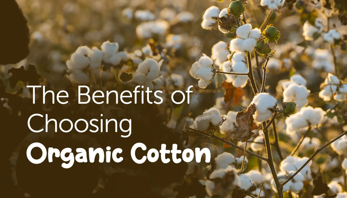 All About Organic Cotton - A Healthier & More Sustainable Alternative to Conventional Cotton