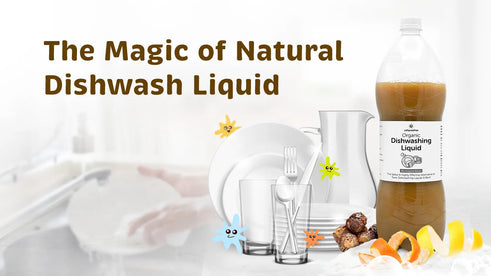 Say No to Ingesting Toxins: Switch to Natural Alternative to Chemical based Dishwash Detergent