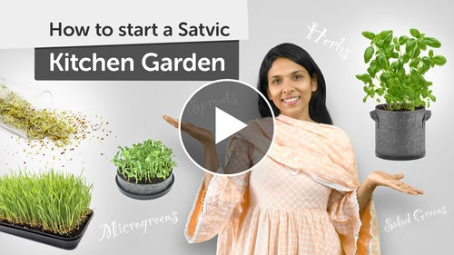 Complete Guide to Setting up Organic Kitchen Garden at Home