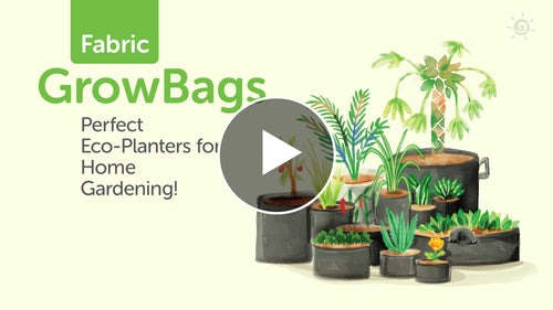 All about Fabric Grow Bags for Plants