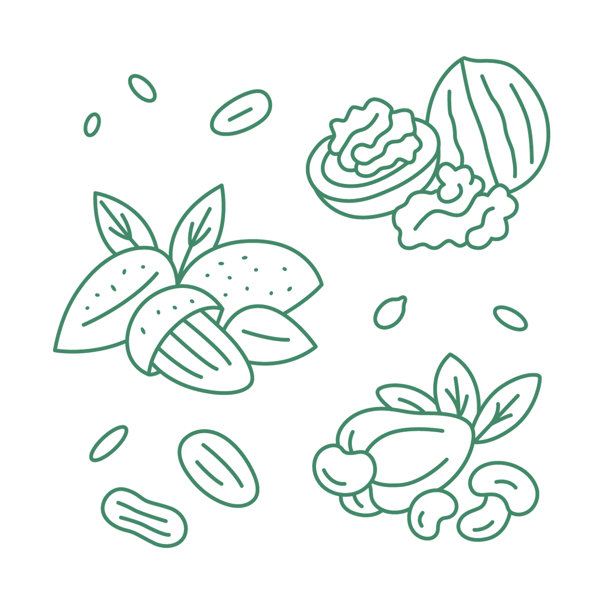 Illustrations of nuts, seeds and dried fruits in green line art on a white background
