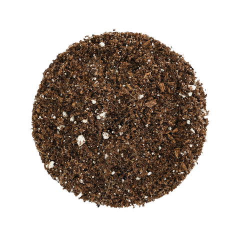 Cocopeat Mix - 2.5 kg | Expanded, Fully Dried & Cleaned | Ready-to-use organic soilless mixture