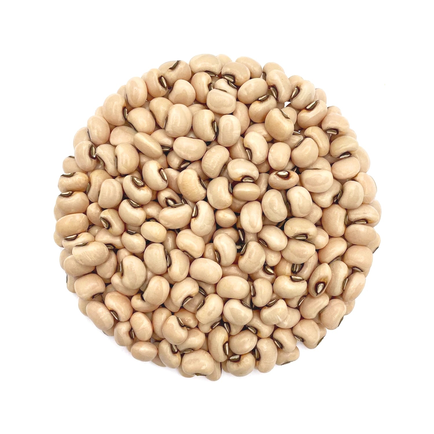 Organic White Lobia 800g – Unpolished Safed Lobia Whole - Cowpea / Chawli
