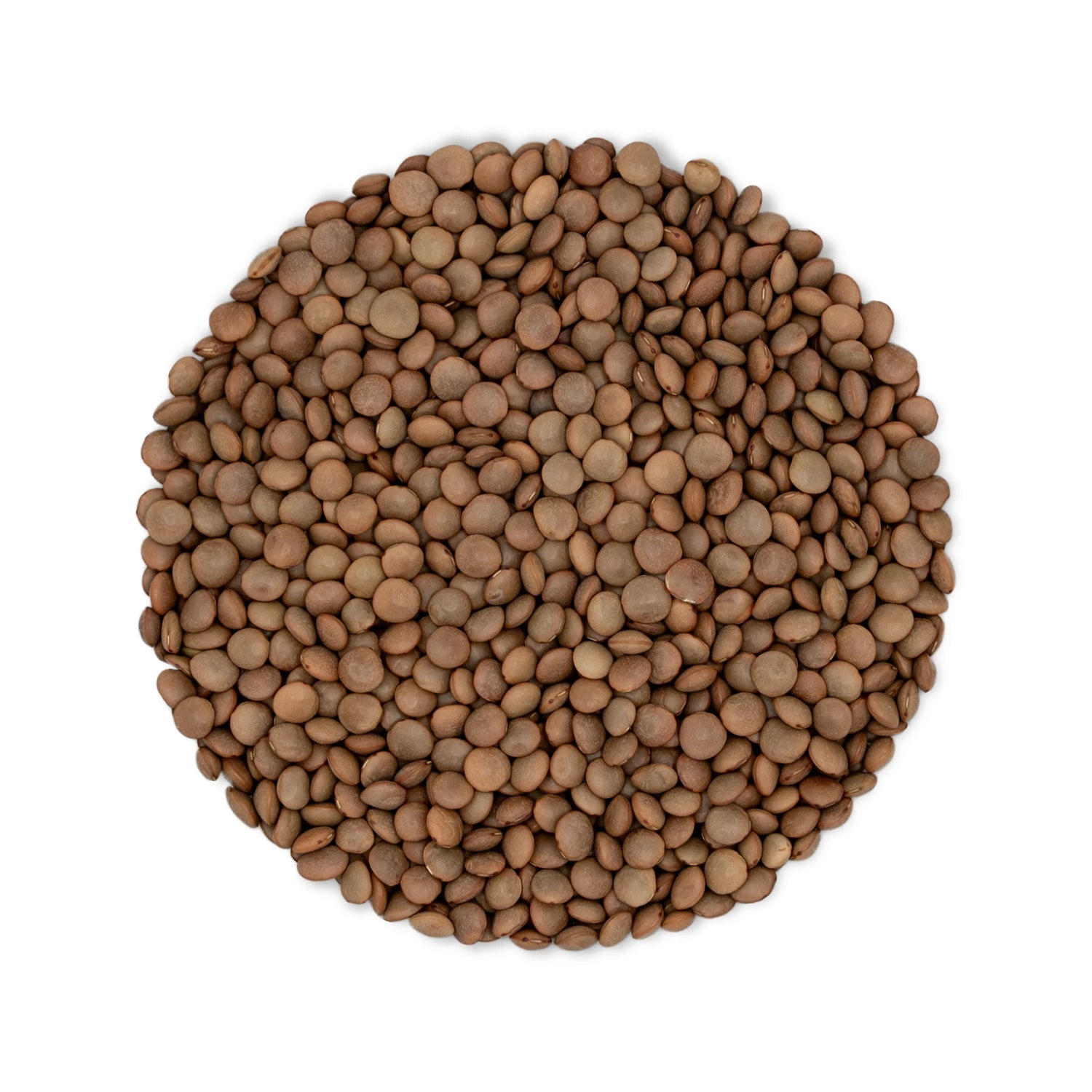 Organic Whole Masoor Dal 800g - Sabut Kali Masoor – Unpolished Brown Lentils