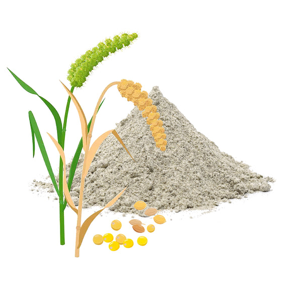 Organic Bajra Atta