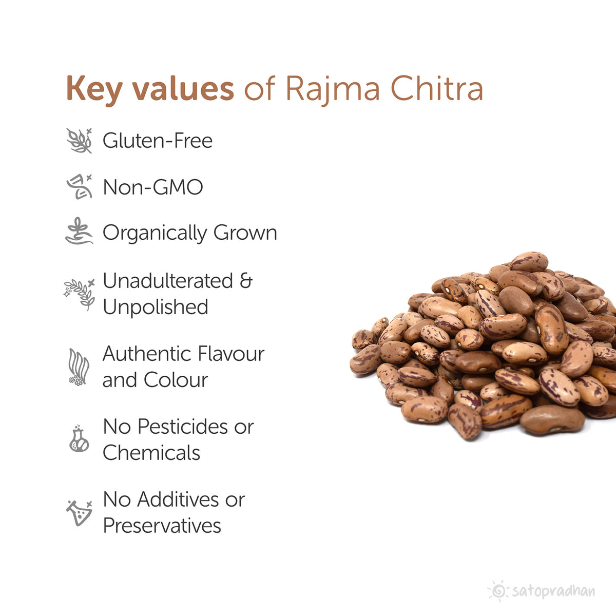 Rajma Chitra - Kidney Beans Chitra - Pinto Beans 800g - Organic, Raw, Unpolished & Wholesome - Choicest Quality without Additives
