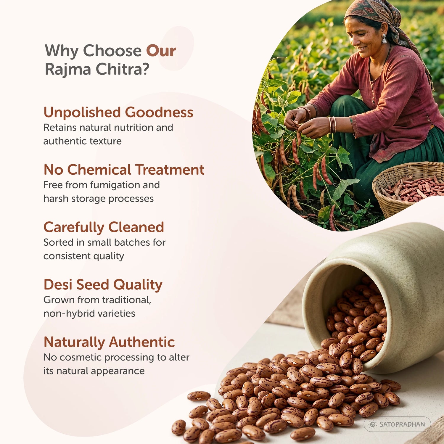 Organic Desi Rajma Chitra 800g - Unpolished Kidney Beans - Waghya Rajma