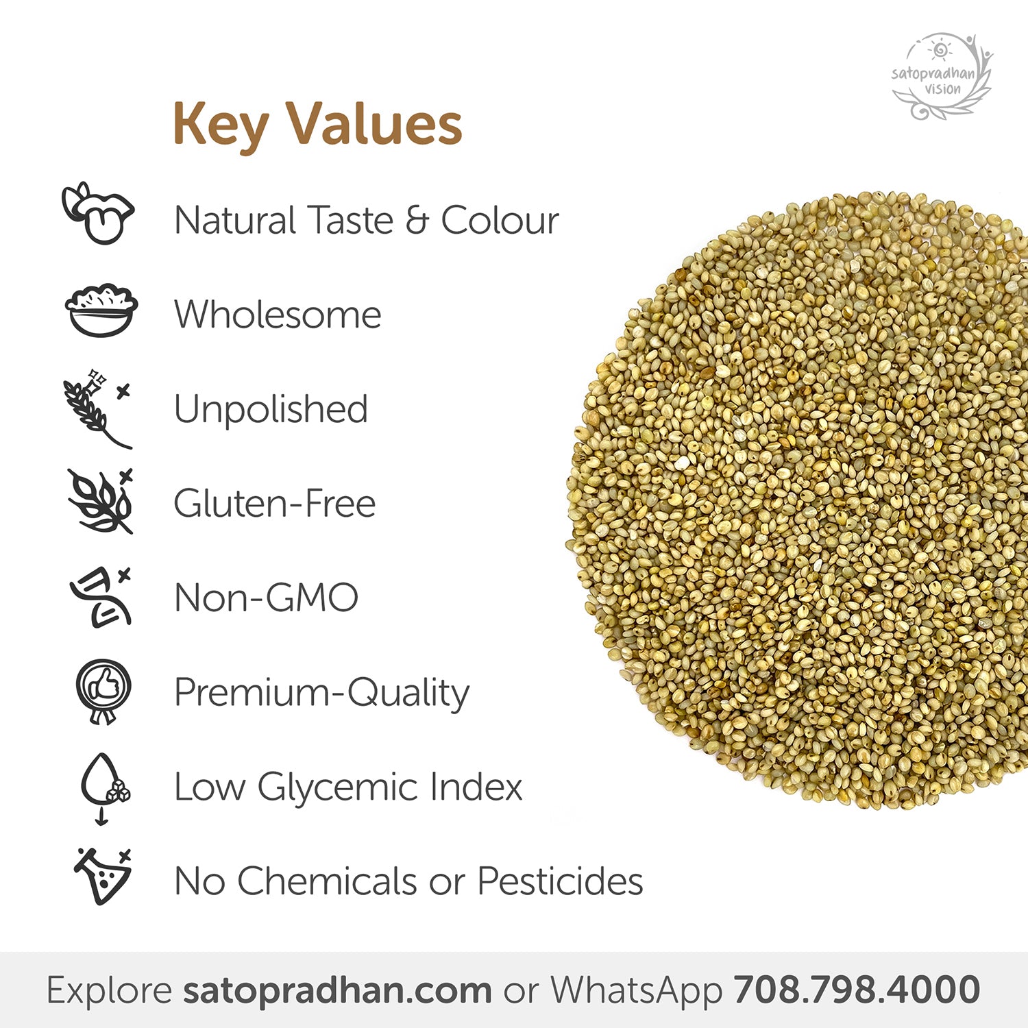 Browntop Millet - Korale/ Choti Kangni 800g - Natural, Organic & Unpolished -Gluten free and Wholesome Grain without Additives