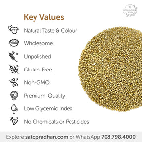 Browntop Millet - Korale/ Choti Kangni 800g - Natural, Organic & Unpolished -Gluten free and Wholesome Grain without Additives