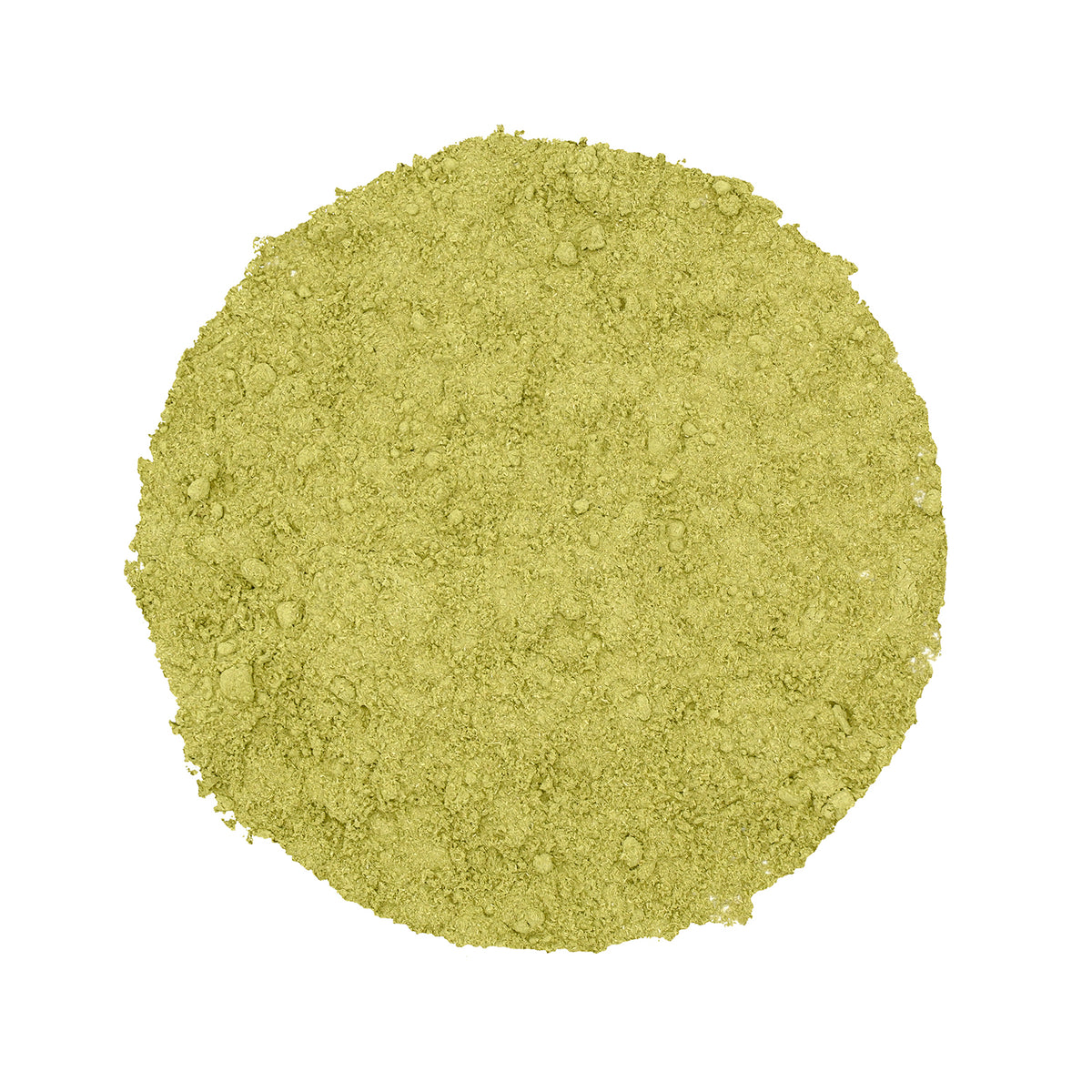 Wheat Grass Powder 100g  -  Made from Organic Wheatgrass Shoots grown using Sharbati Wheatberries | Gluten-free