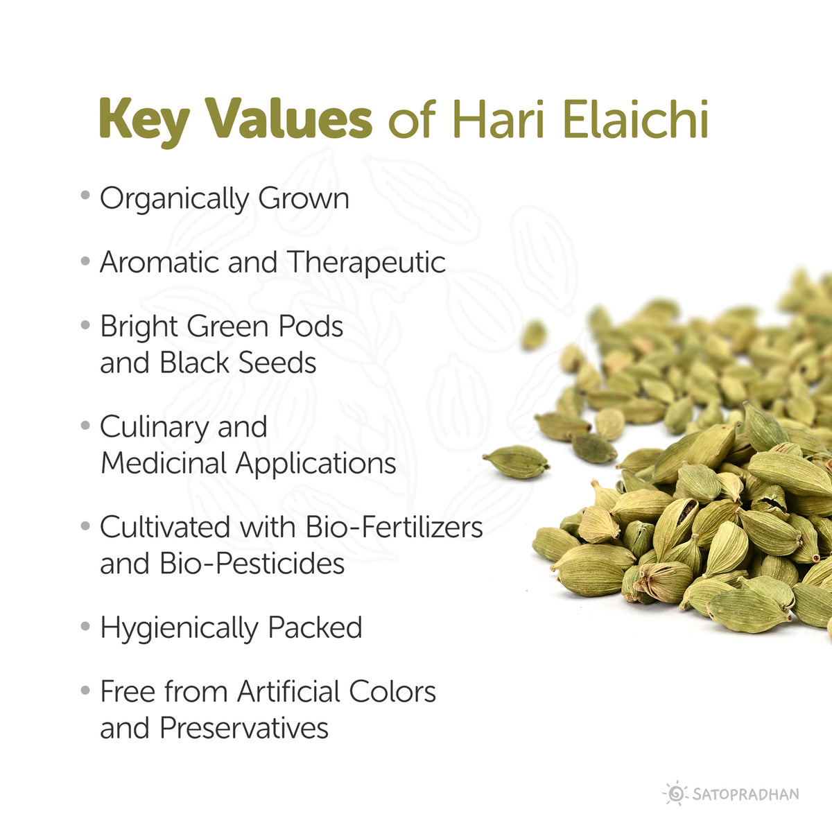 Green cardamom - Hari Elaichi 50g - 100%Organic-Without Preservatives and Artificial Colors-Sweet Aroma-Bright green pods