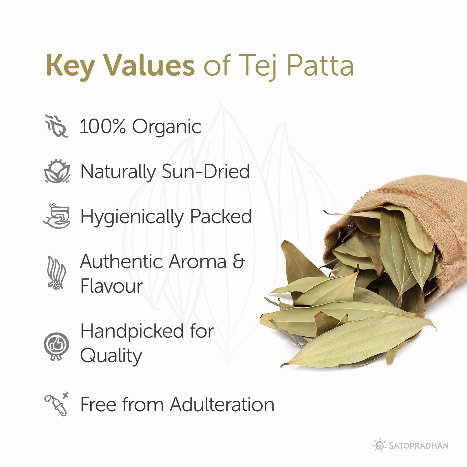 Bay Leaves Dried - Tej Patta 100g -  Purely Natural & Organic herb without Adulteration - No Added Chemical Preservatives