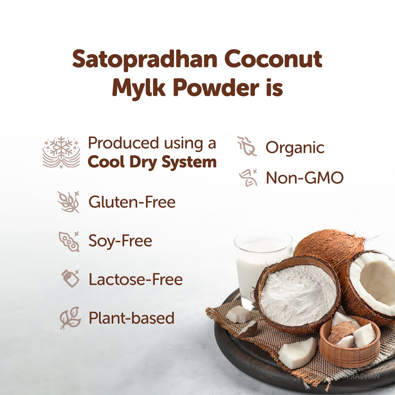 Coconut Mylk Powder 200g -100% Vegan & Pure | No Added Sugar or Flavour | Maltodextrin-Free.