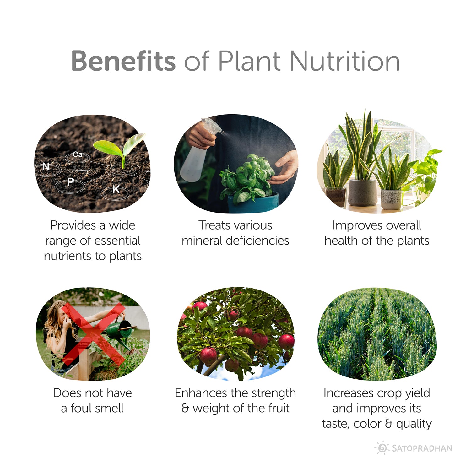 Multi-Nutrient Bio-Enzyme based Plant Nutrition  Liquid - 700g for All Types of Plants in Kitchen Gardening | Soil Booster & Bio-fertilizer