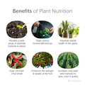 Multi-Nutrient Bio-Enzyme based Plant Nutrition  Liquid - 700g for All Types of Plants in Kitchen Gardening | Soil Booster & Bio-fertilizer