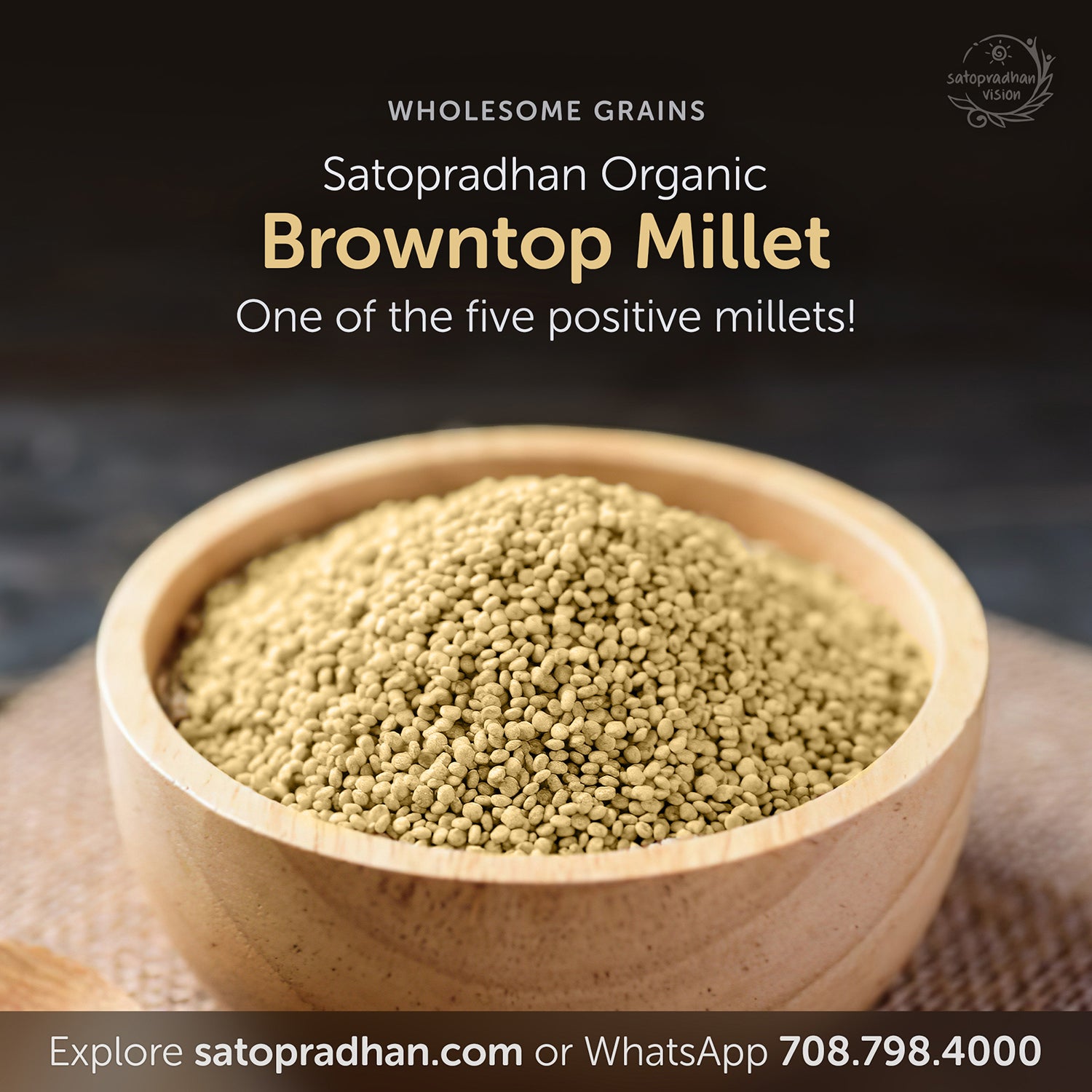 Browntop Millet - Korale/ Choti Kangni 800g - Natural, Organic & Unpolished -Gluten free and Wholesome Grain without Additives