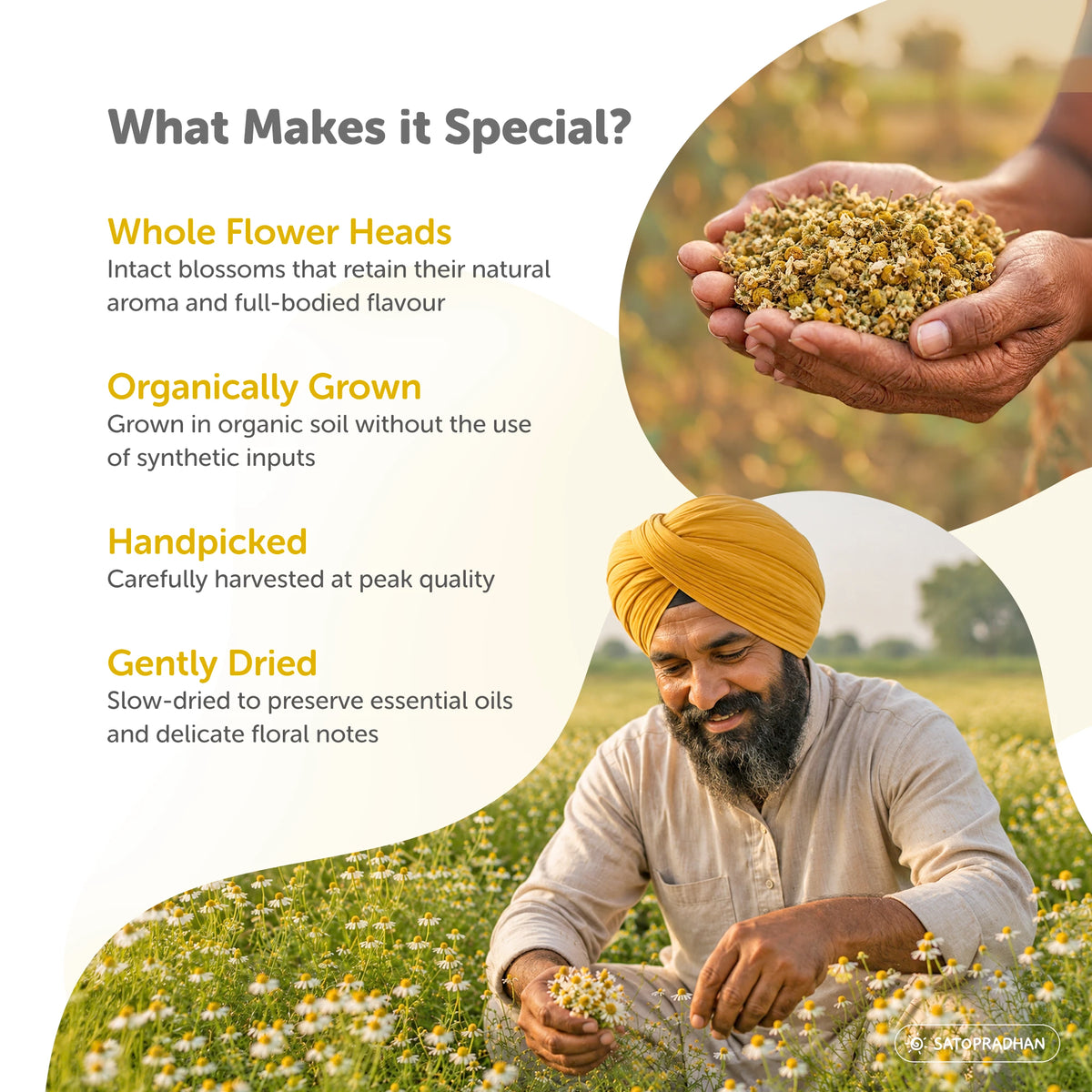 Organic Chamomile Herbal Infusion 25g – Dried Flowers for Deep Relaxation, Better Sleep & Period Cramps
