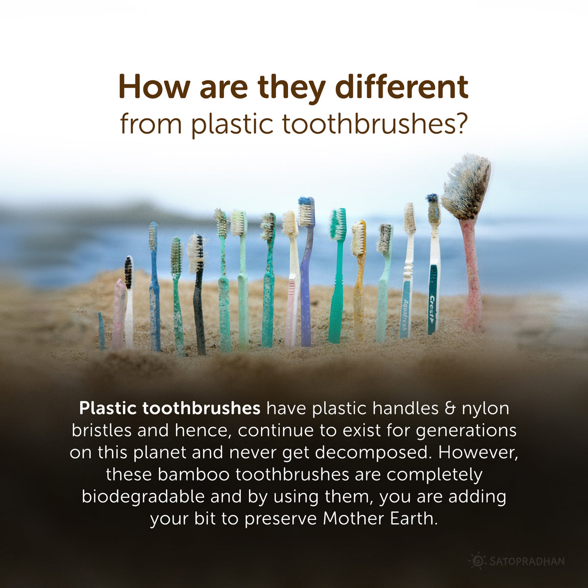 Toothbrushes - Set of 4 with Bamboo Handles & Biodegradable Bristles - Colored markings for easier identification