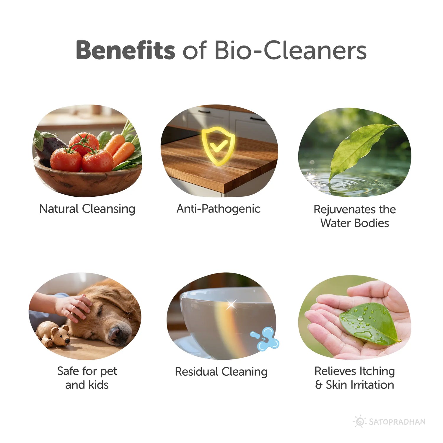 Eco Home Cleaners Trial Pack - 6 Bio Enzyme Based Natural Cleaners Free of Harmful Chemicals in Upcycled Plastic Bottles of 250ml, Benefits, Main Features
