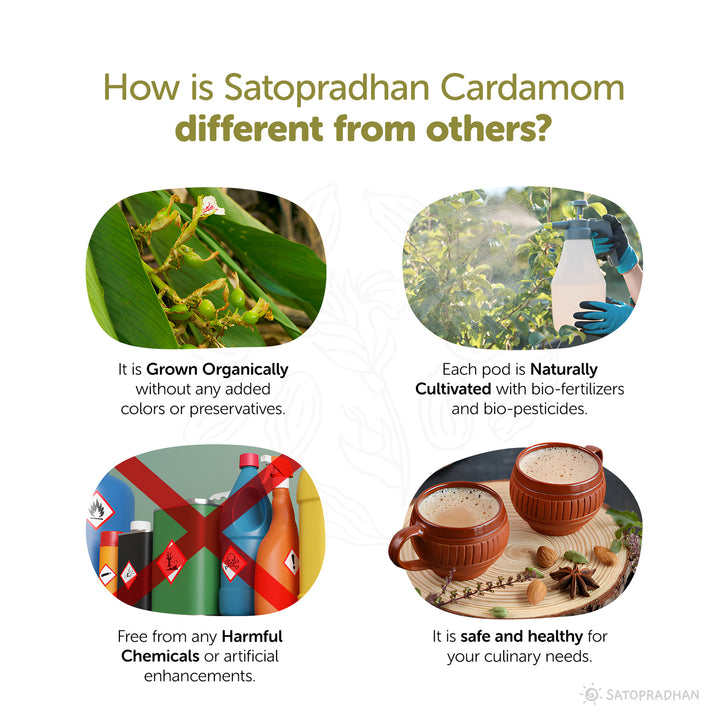 It is Grown Organically without any added colors or preservatives, Each pod is Naturally Cultivated with bio-fertilizers and bio-pesticides, Free from any Harmful Chemicals or artificial enhancements. It is safe and healthy for
your culinary needs.