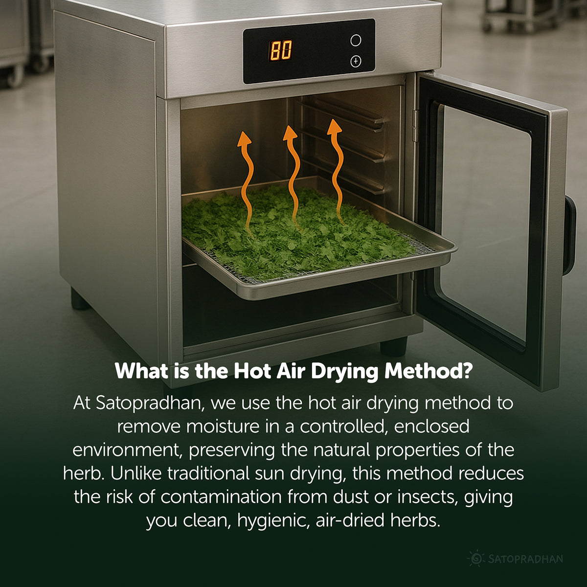 Organic Dried Coriander Leaves –  Sukha Dhania – Dried Cilantro Leaves – Dehydrated Coriander Flakes – Organic Dry Dhania Leaves for Cooking & Garnishing