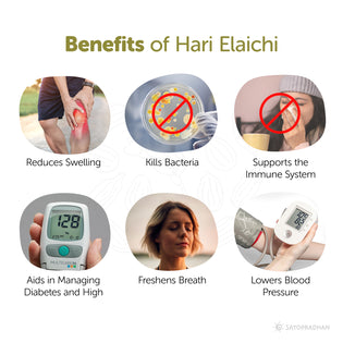 Benefits: Reduces Swelling, Kills Bacteria, Supports the Immune System, Aids in Managing Diabetes and High, Freshens Breath, Lowers Blood Pressure
Pressure