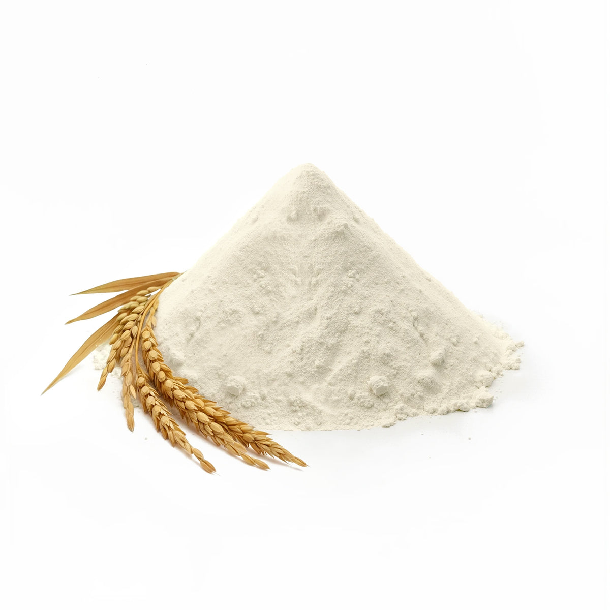 satopradhan organic chemical free natural gluten free wheat flour sharbati