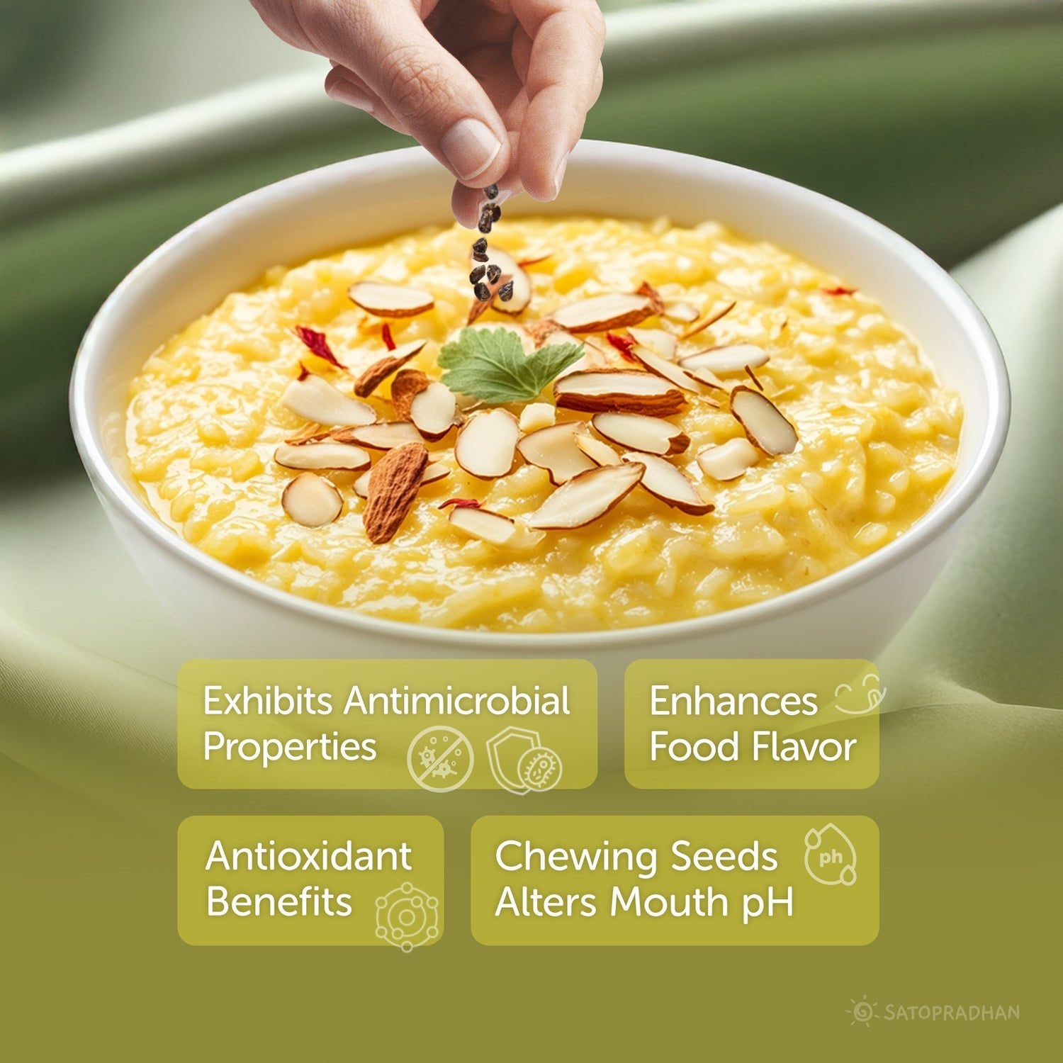 Green Cardamom 50g – Choti Elaichi - Idukki Bold Elaichi Pods - Satopradhan