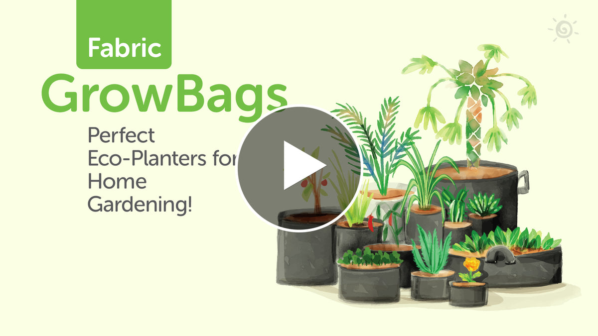 All about Fabric Grow Bags for Plants youtube video in hindi