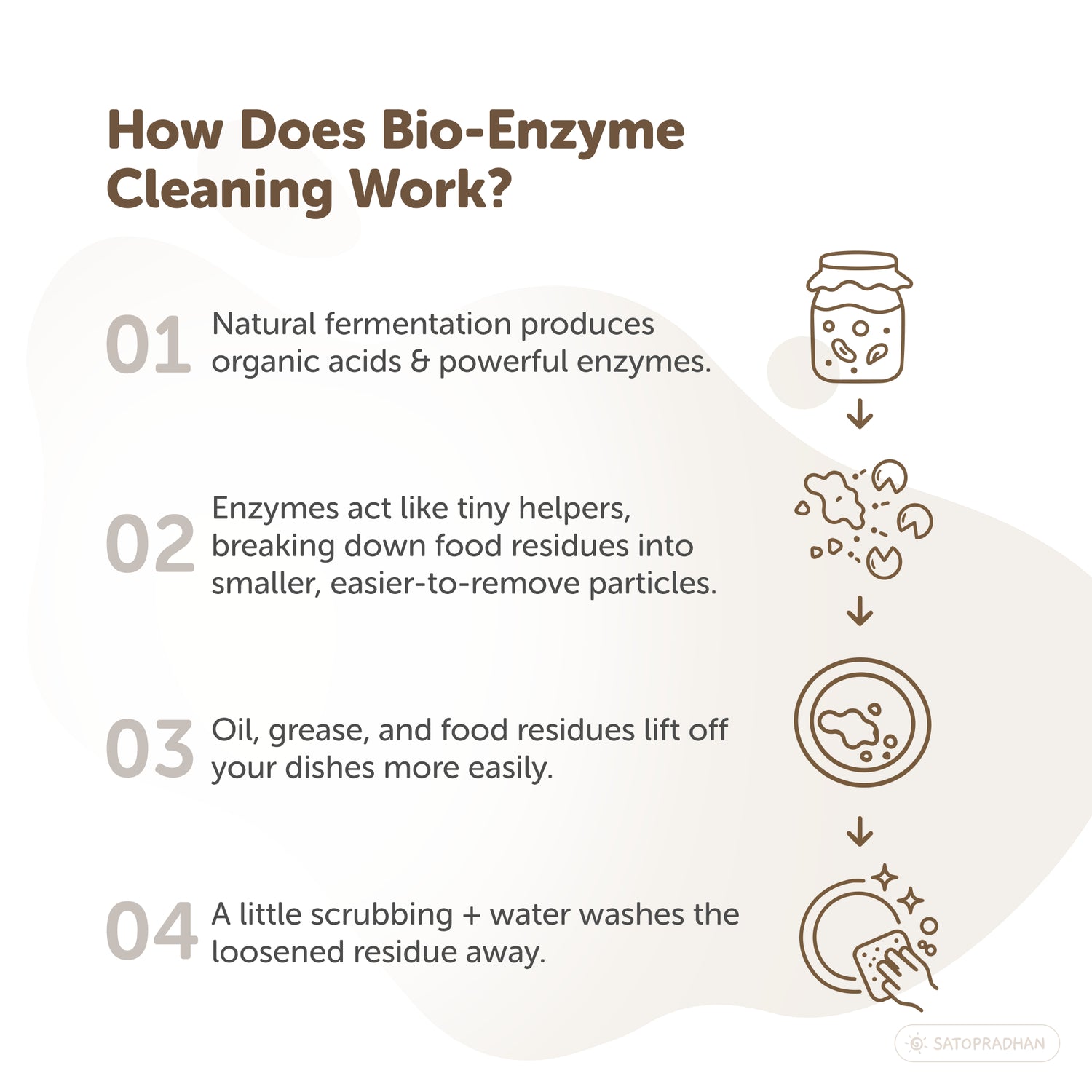 How bio-enzyme dishwash liquid uses natural fermentation and enzymes to break down food residue