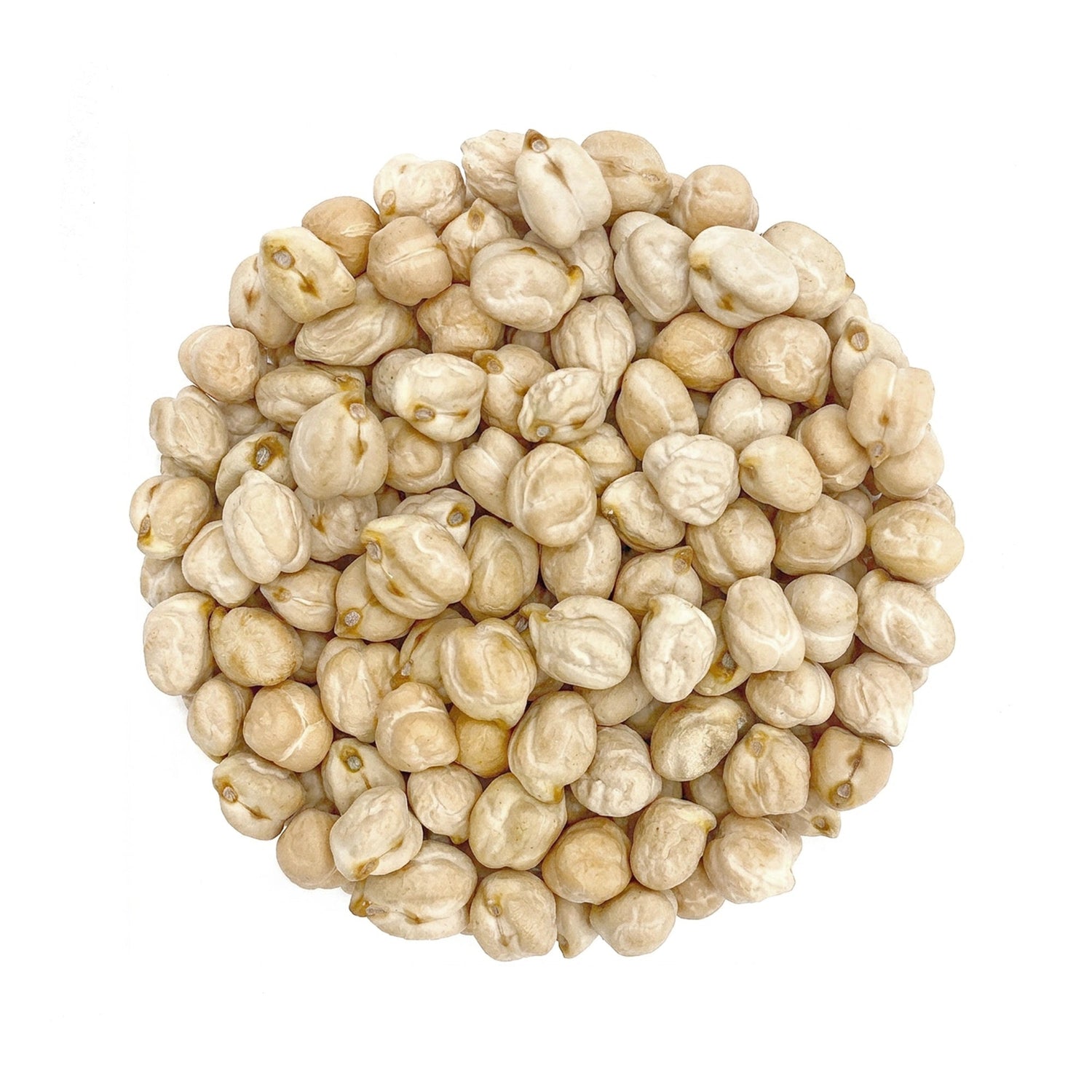 Kabuli Chana 800g - White Chickpea - Organic, High-Protein, Unpolished Whole Safed Chana for Chole & Healthy Meals - Satopradhan