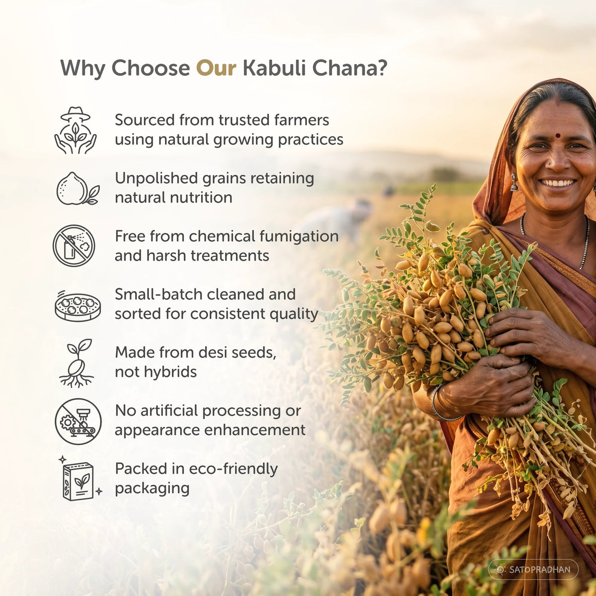 Kabuli Chana 800g - White Chickpea - Organic, High-Protein, Unpolished Whole Safed Chana for Chole & Healthy Meals - Satopradhan