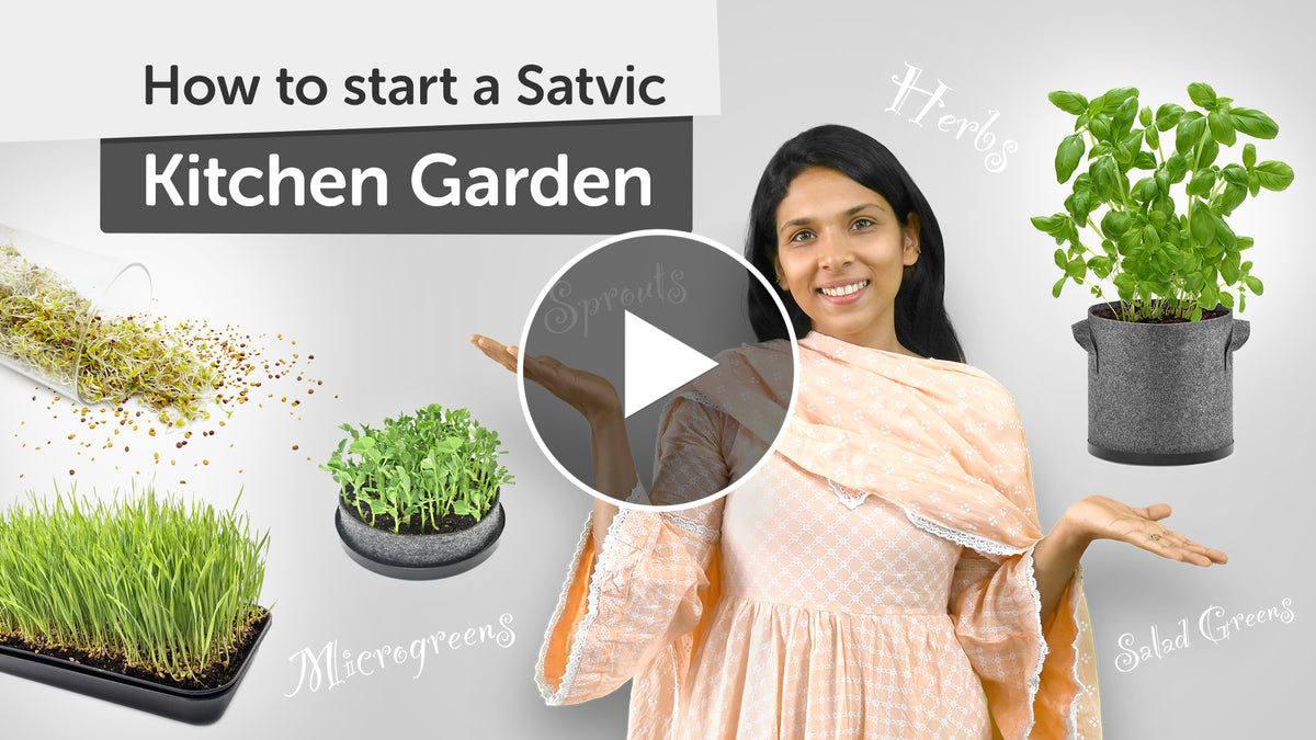 Complete Guide to Setting up Organic Kitchen Garden at Home youtube video in hindi