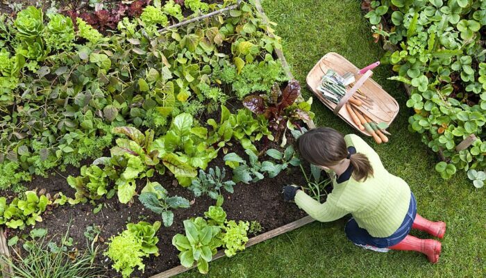 how to make a kitchen garden