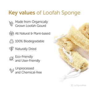 Loofah Sponge - Set of 4, Naturally Dried from Organically Grown Sponge Gourd with its extra-ordinary Exfoliation properties - Satopradhan