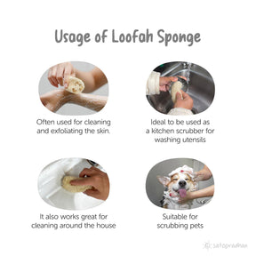 Loofah Sponge - Set of 4, Naturally Dried from Organically Grown Sponge Gourd with its extra-ordinary Exfoliation properties - Satopradhan