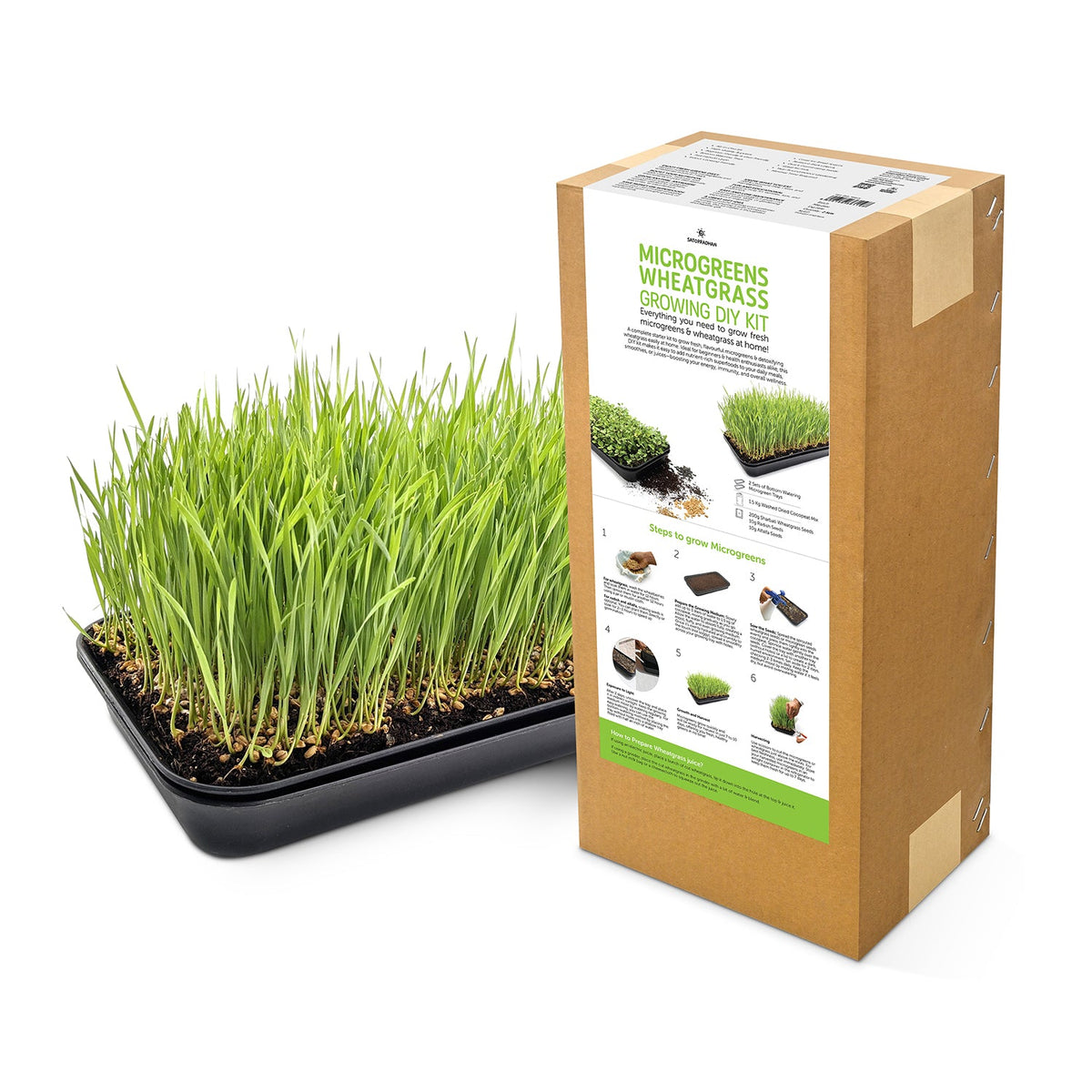 Microgreen & Wheatgrass Growing Kit - Easy to Use DIY Kitchen Gardening Set - 4 Reusable Trays, Soilless Cocopeat Mix with Fenugreek, Alfalfa & Wheatgrass Seeds - Satopradhan