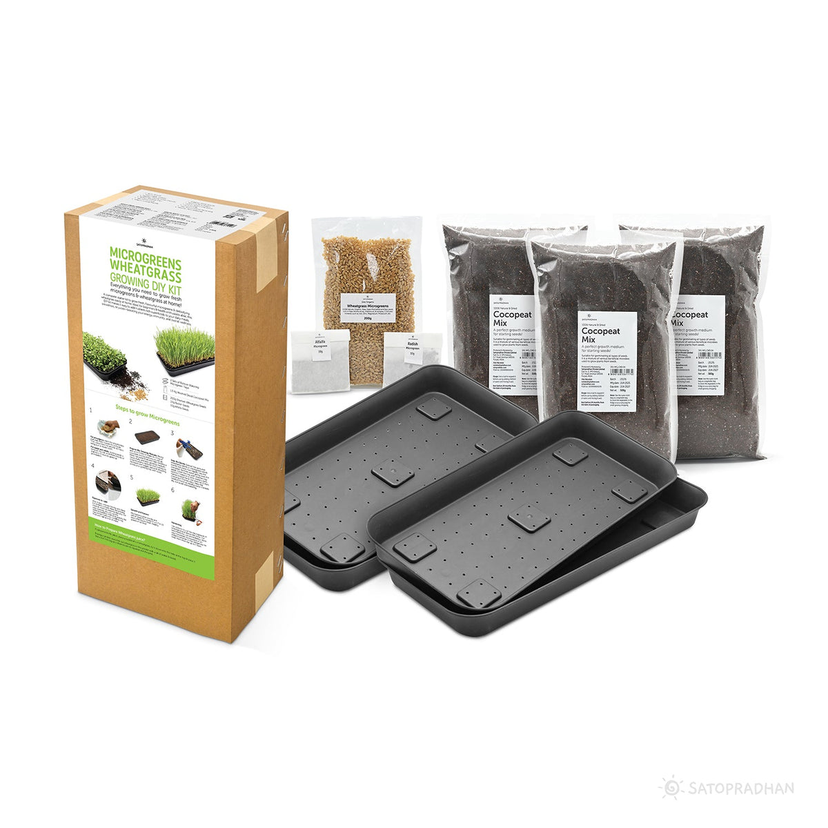 Microgreen & Wheatgrass Growing Kit - Easy to Use DIY Kitchen Gardening Set - 4 Reusable Trays, Soilless Cocopeat Mix with Fenugreek, Alfalfa & Wheatgrass Seeds - Satopradhan